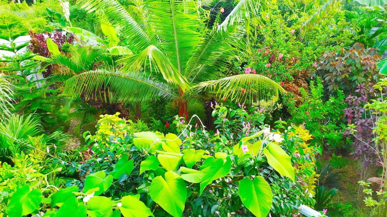 Villa Modara Tangalle Bagian luar foto