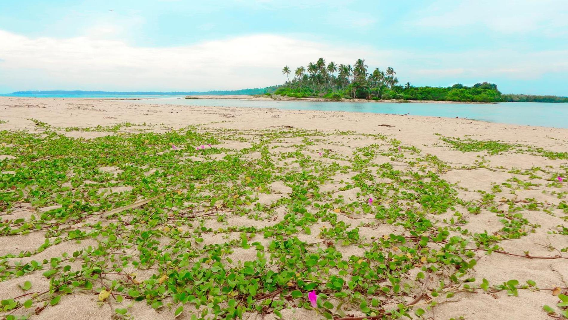 Villa Modara Tangalle Bagian luar foto