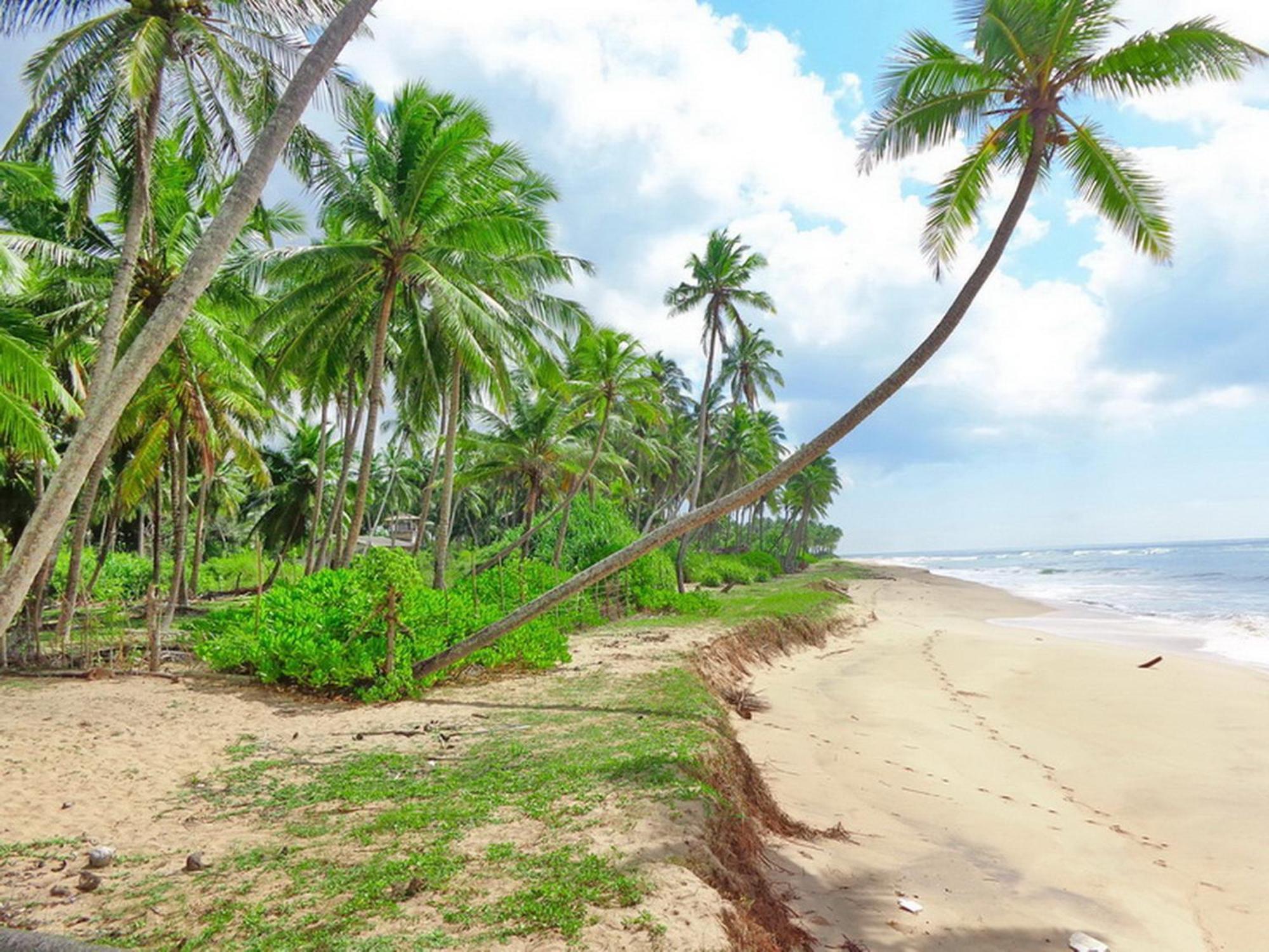 Villa Modara Tangalle Bagian luar foto